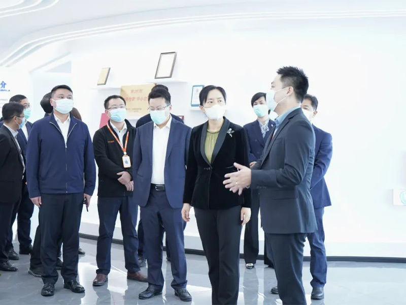 市长盛蕾专题调研中科摩通
