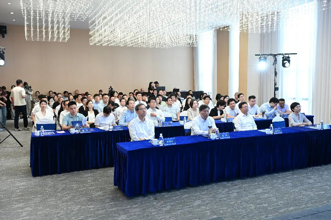 图片8